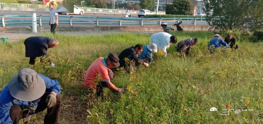 三門峽市園林綠化精細(xì)化管理工作周工作通報(bào)(圖3)