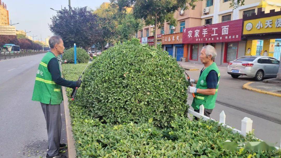 三門峽市園林綠化精細(xì)化管理工作周工作通報(bào)(圖10)