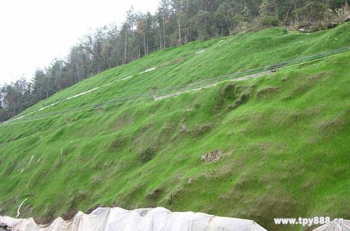 成都護坡客土噴播機經(jīng)銷點