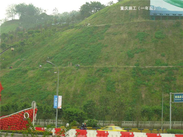 戶縣植草噴播機生產(chǎn)廠家