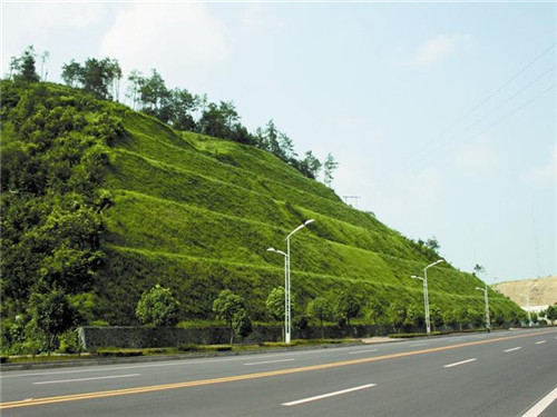 六盤水礦山邊坡綠化施工單位的意義和基本原則(圖5)